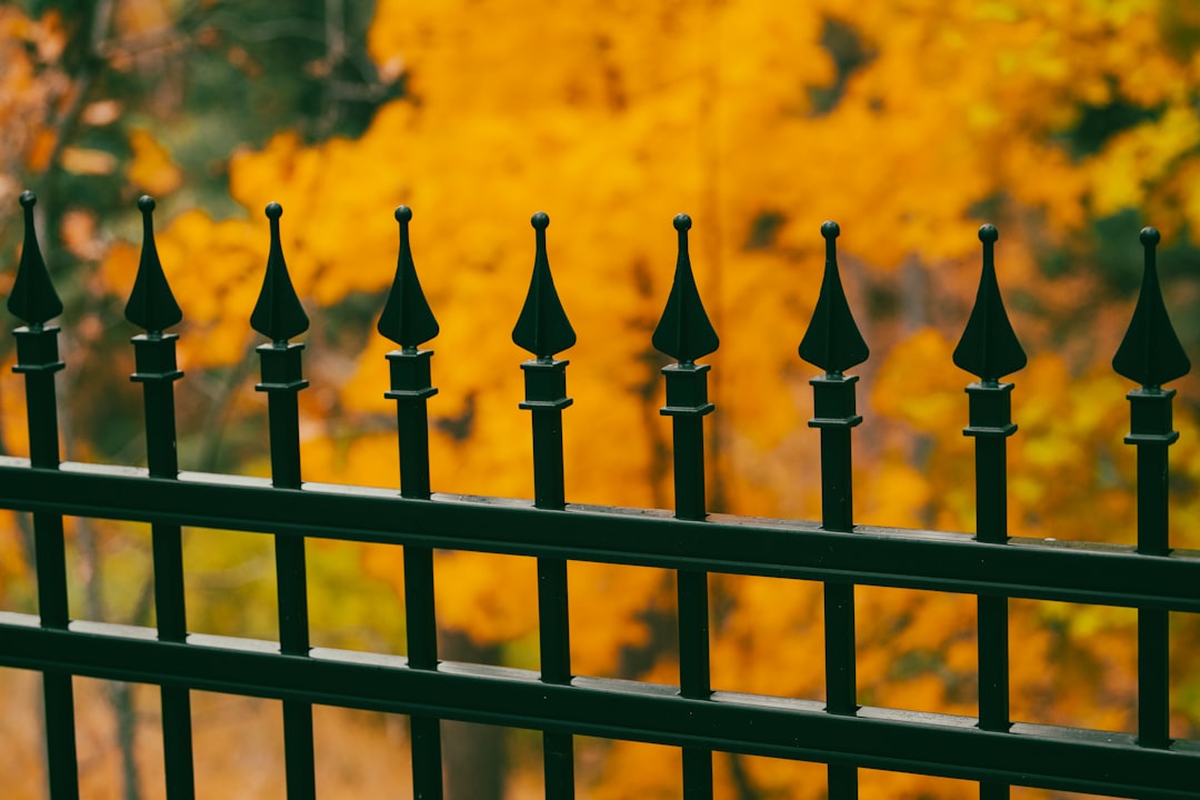services-02 a-group-of-black-and-gold-fence-posts-with-a-yellow-and-orange-background-qweutr6nnsy